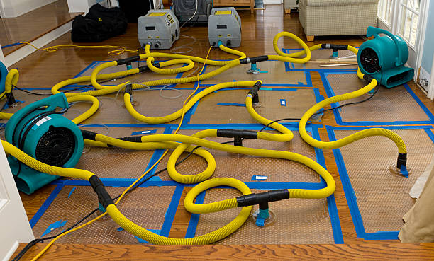 Professional Emergency Water Removal technician working in Washington Island, WI